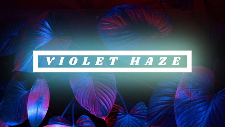Violet Haze banner image