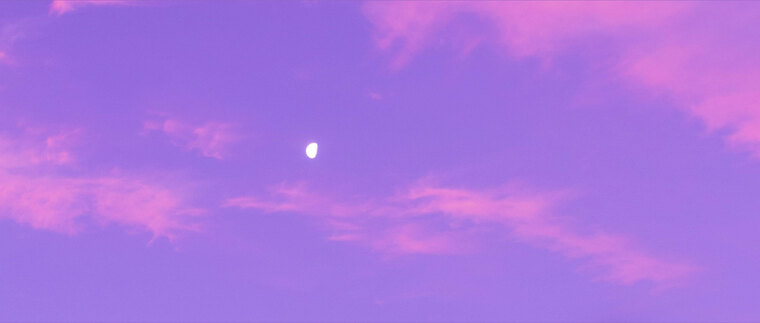 Violette cover image