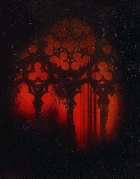 Violet Decay cover image