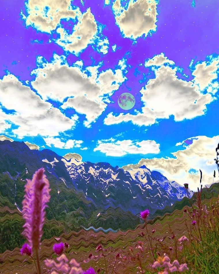 Virginia Silva cover image