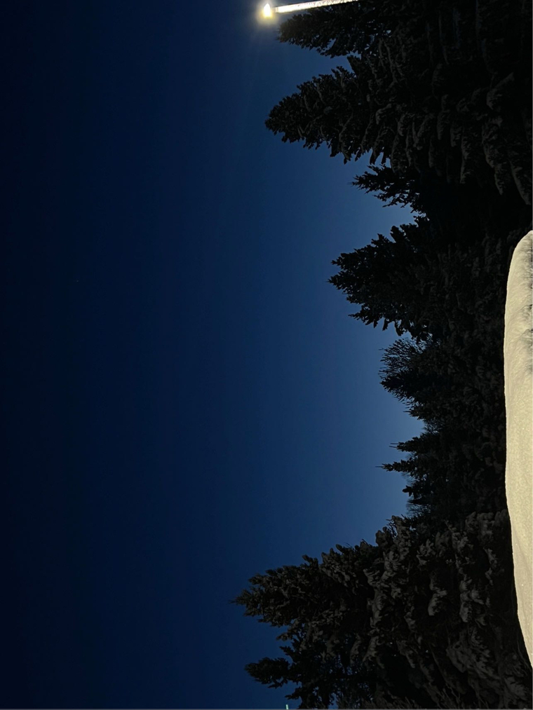 Virgo_Baby01 banner image