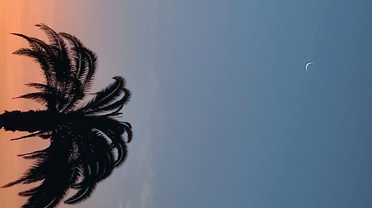 Jacob cover image
