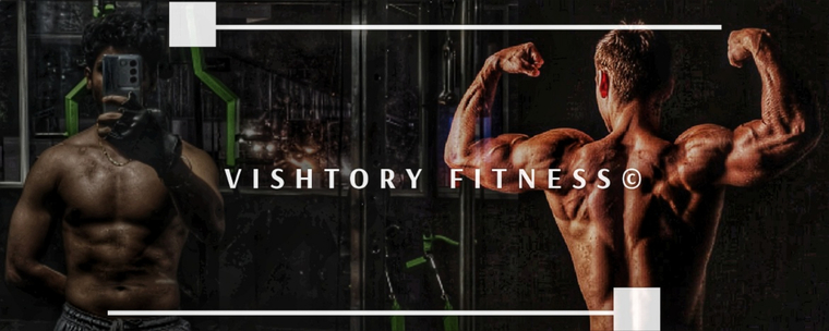 vishtoryfitness banner image