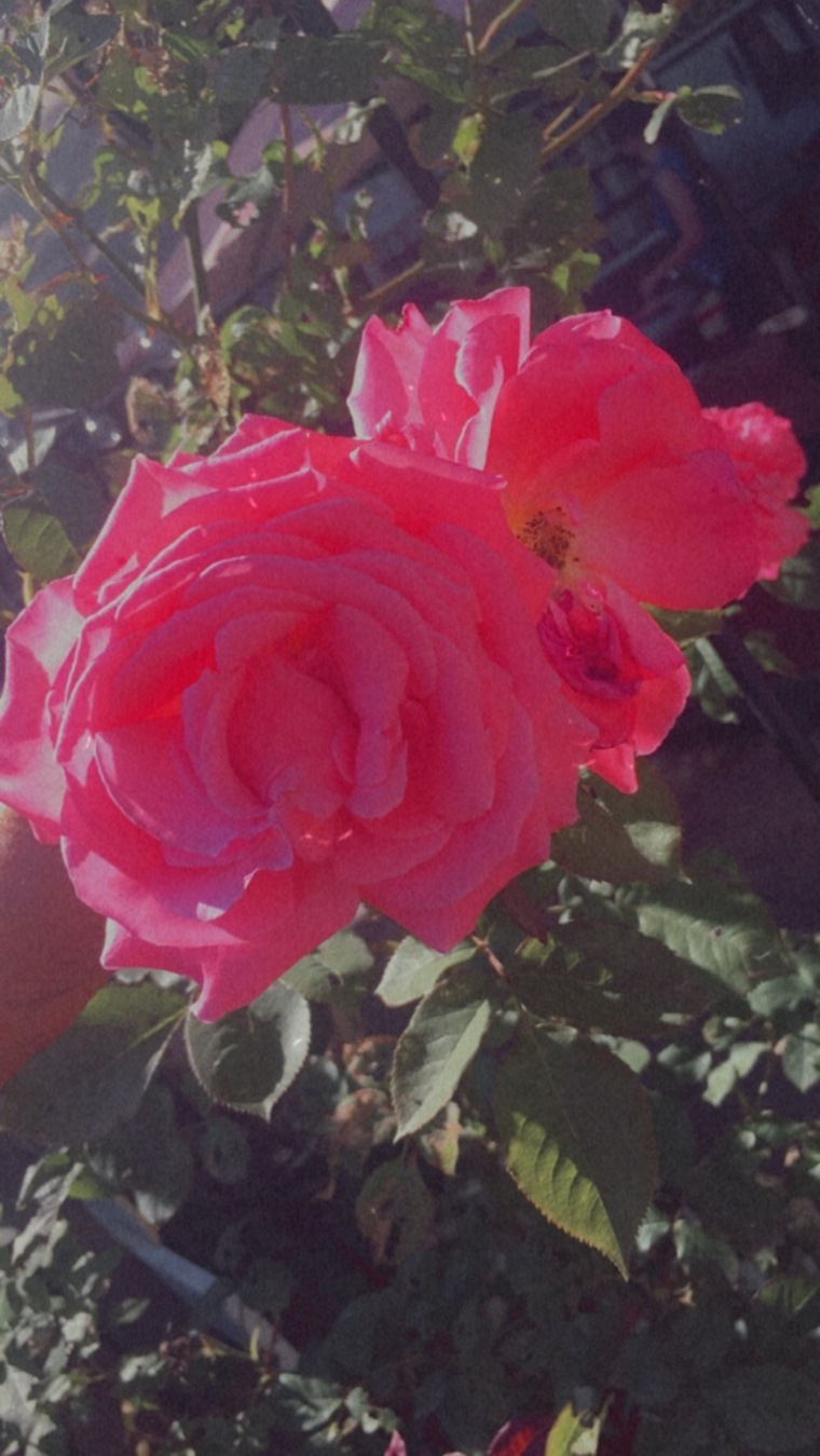 A cover image