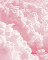 u107506471 banner image