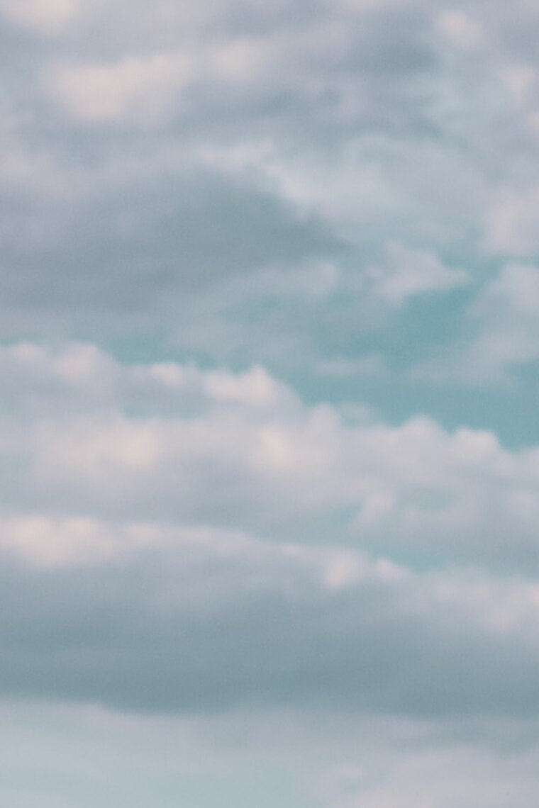 ViviJax Ryder banner image
