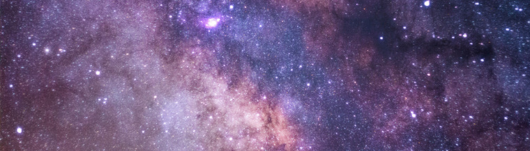 Vin banner image