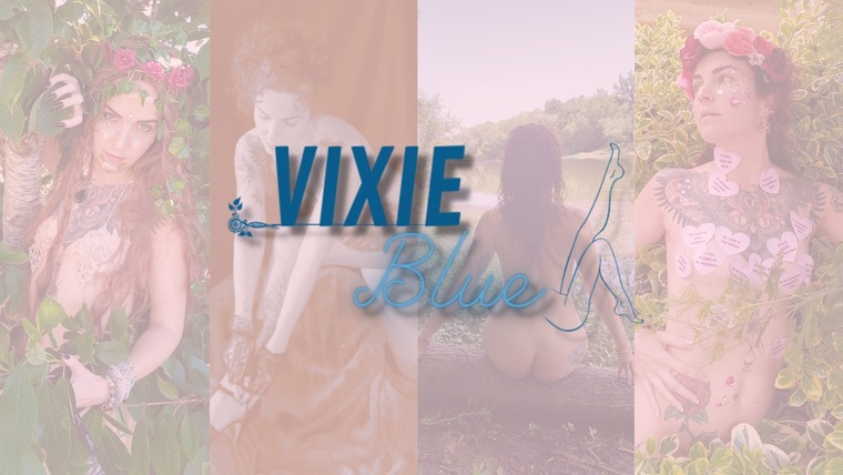 vixieblue banner image
