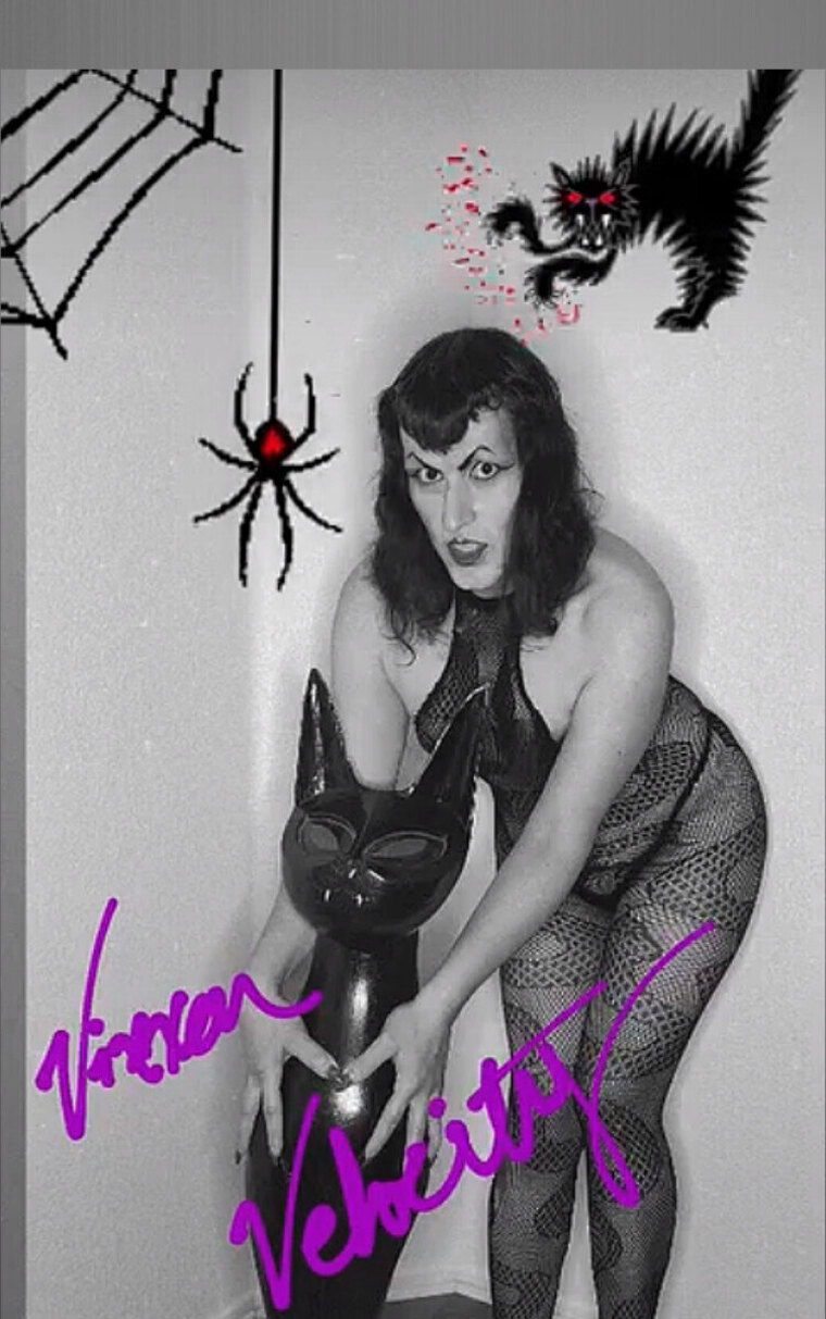 Vixxen Velocity cover image