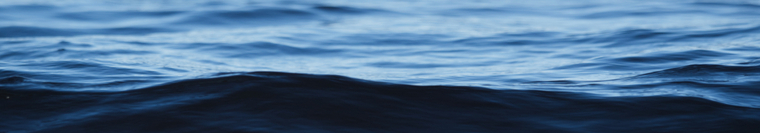 Vlorentín banner image