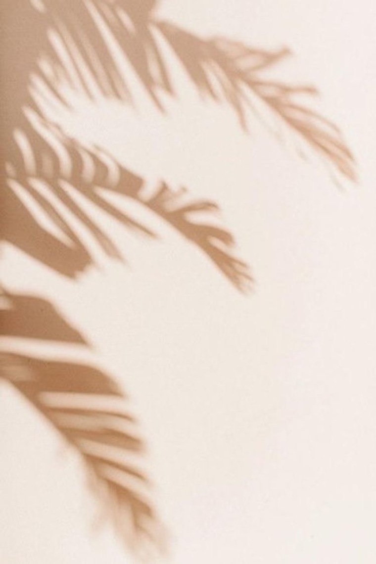 Von’roe banner image