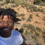 vontaemadeit avatar