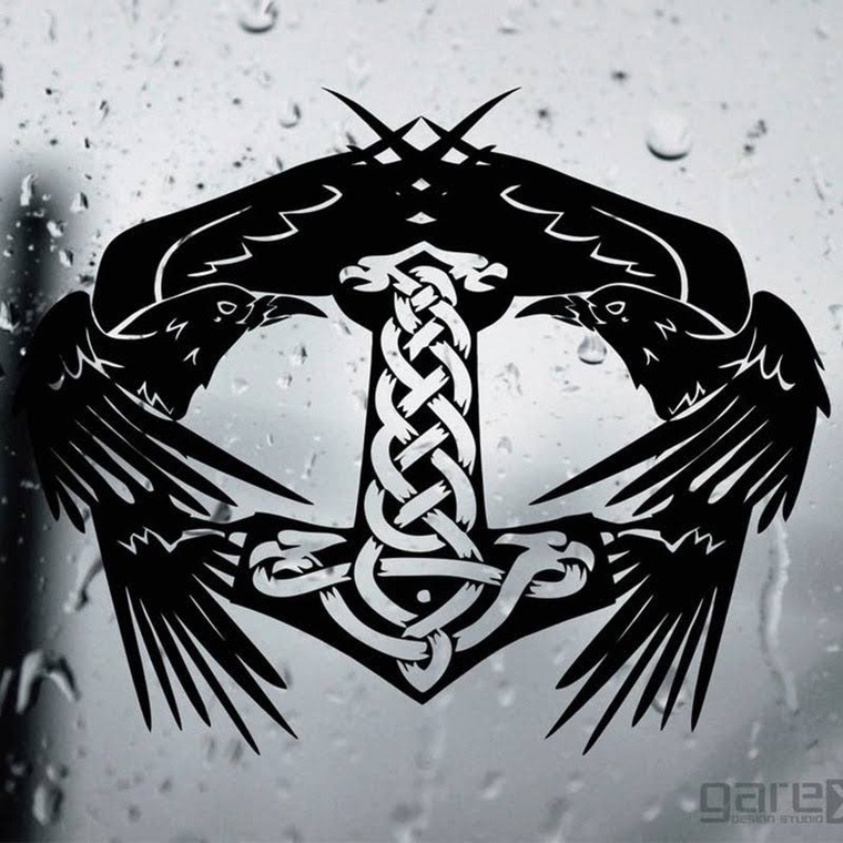 TinyWangHoe cover image