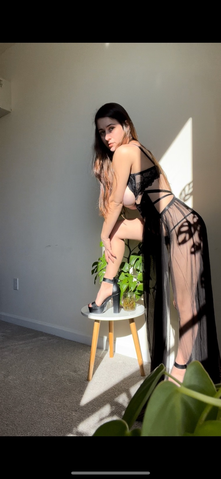 Vulgar Chastity cover image