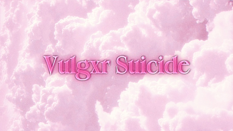 VulgxrSuicide banner image