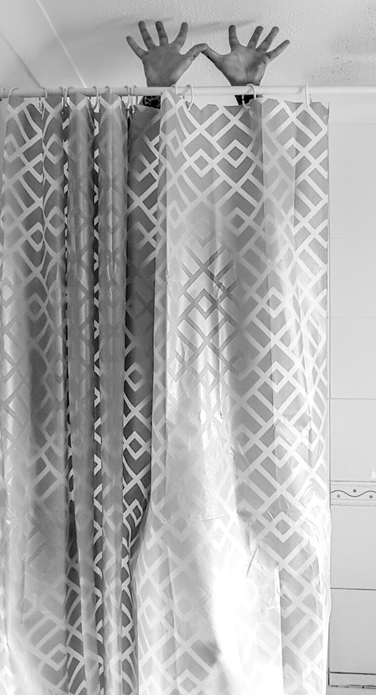 vulpesvulpes banner image