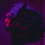 VulpesVeil avatar