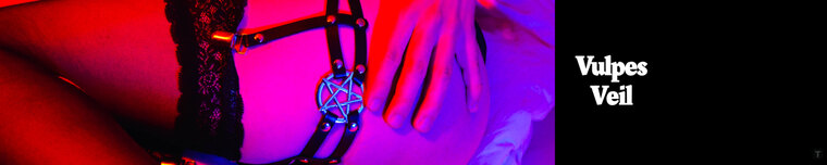 VulpesVeil cover image