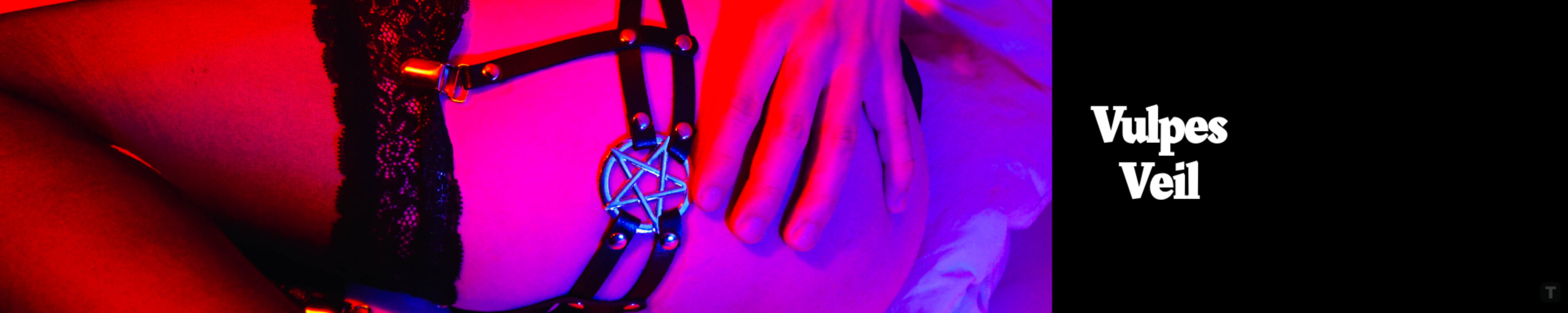 VulpesVeil banner image