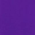 ray banner image