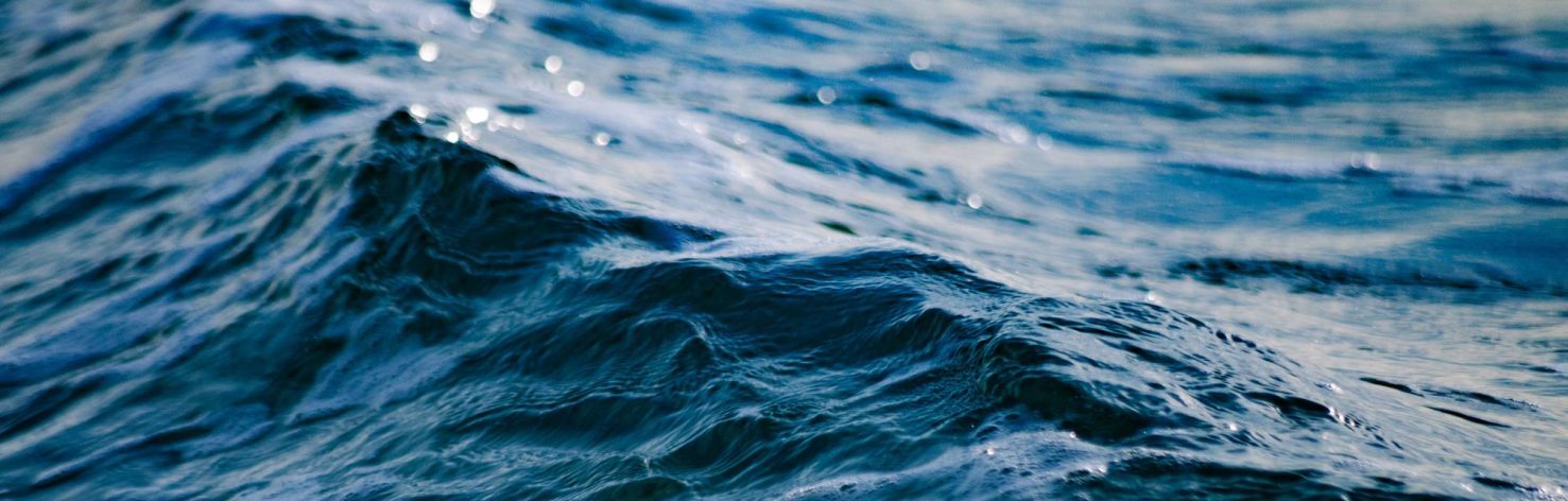 Miss Waves banner image