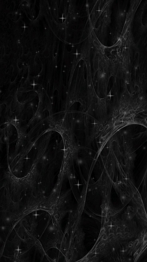 🦇🦇 cover image