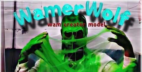 WamerWolf cover image