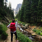 wandering_wednesday avatar