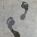 WanderingFooties avatar