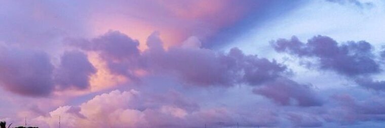 πππ―π©π’π«π¦ π. π
πΜπ’π·π€ banner image