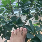 Webbed Toes Guy avatar