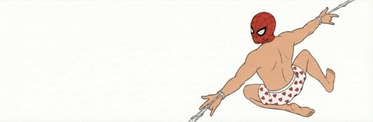 Web Slinger π banner image