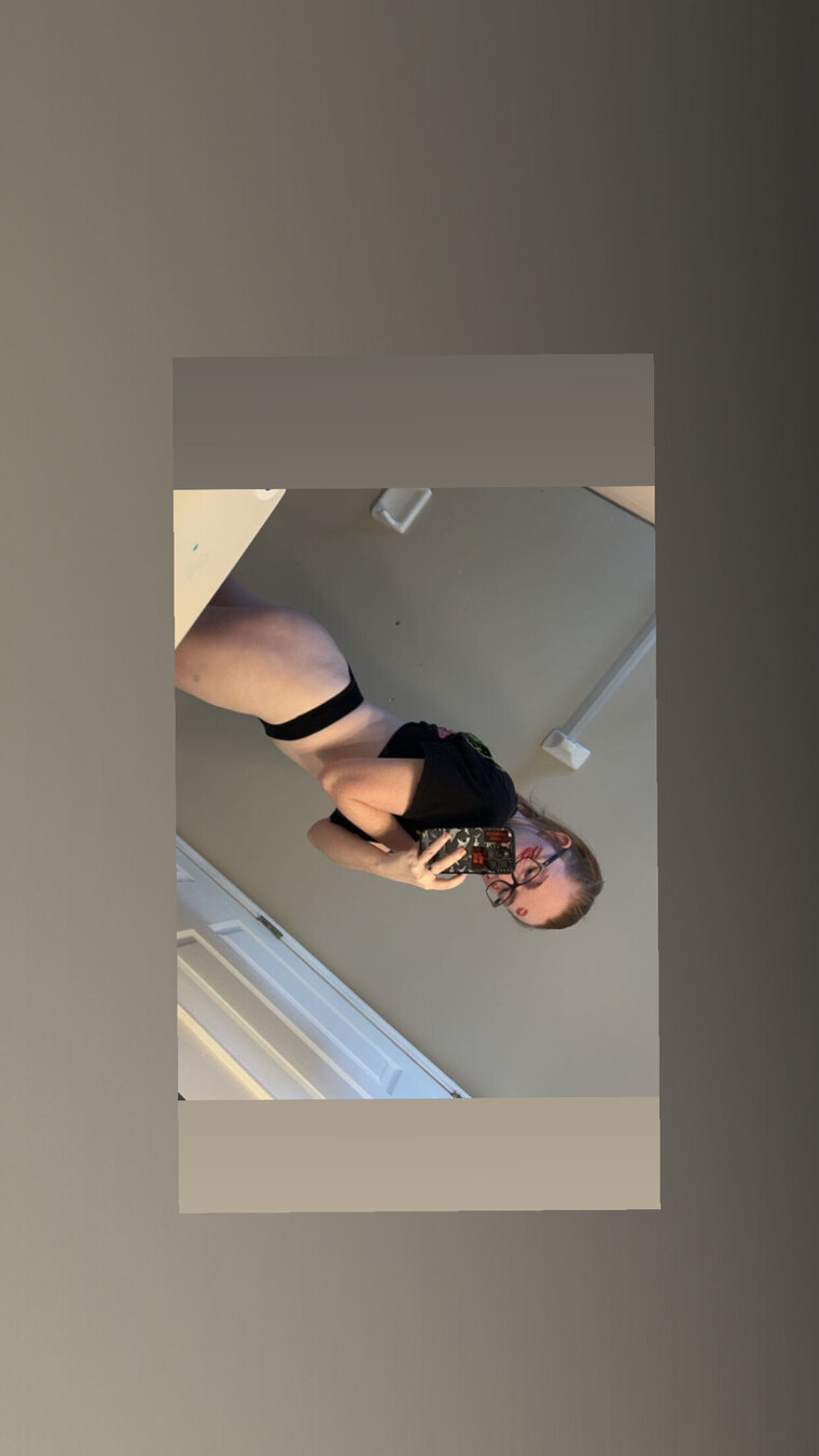 Shelbs cover image