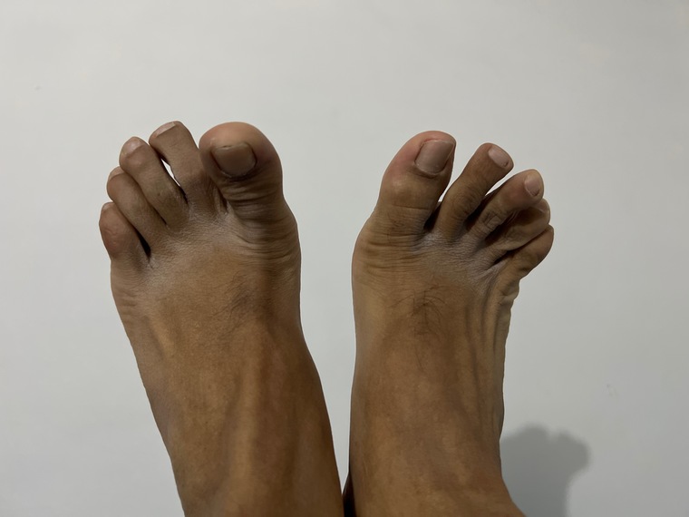 Pies sex cover image