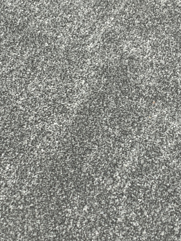 Woody & Bo banner image