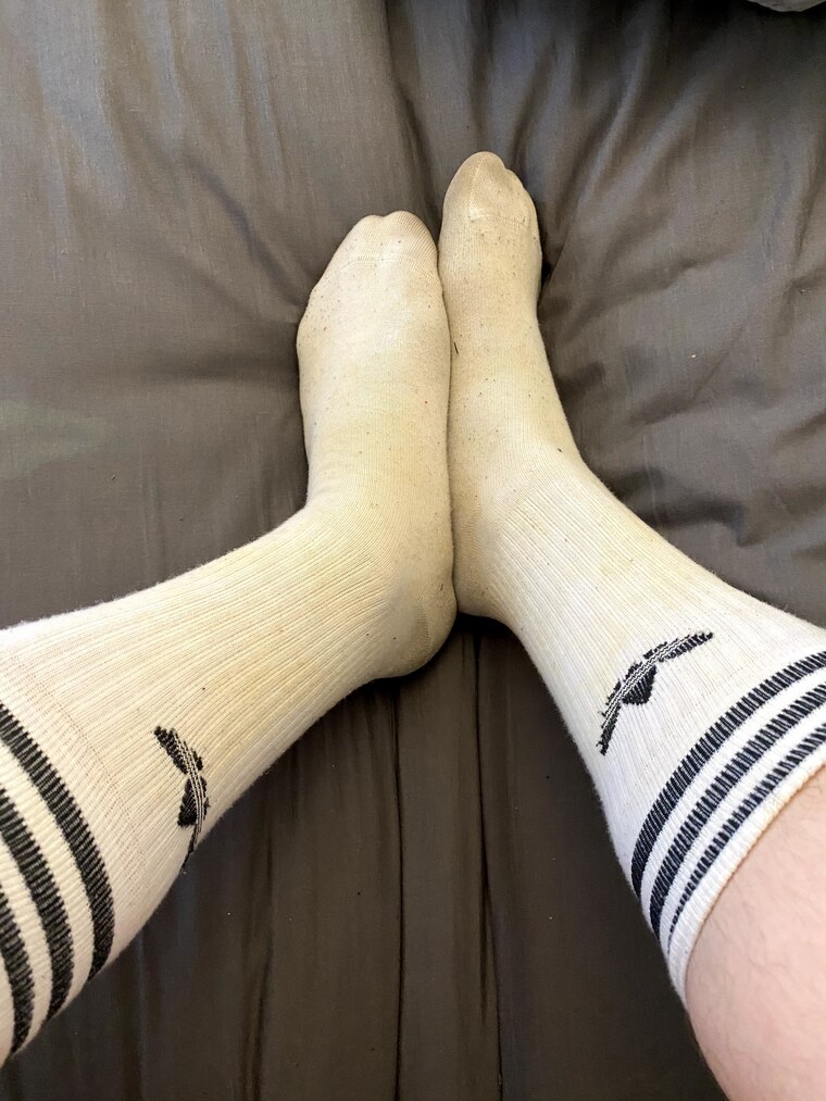 Welsh sock lover banner image