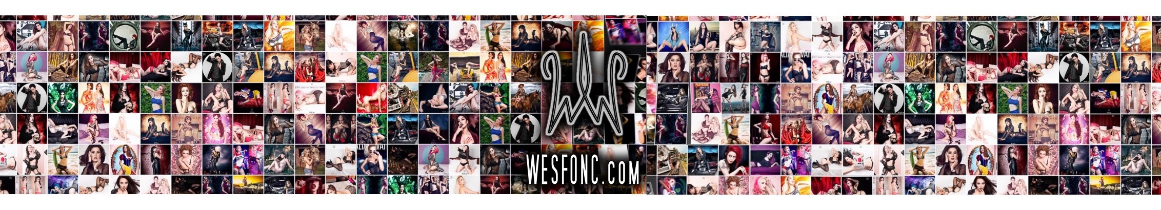 WESFONC banner image