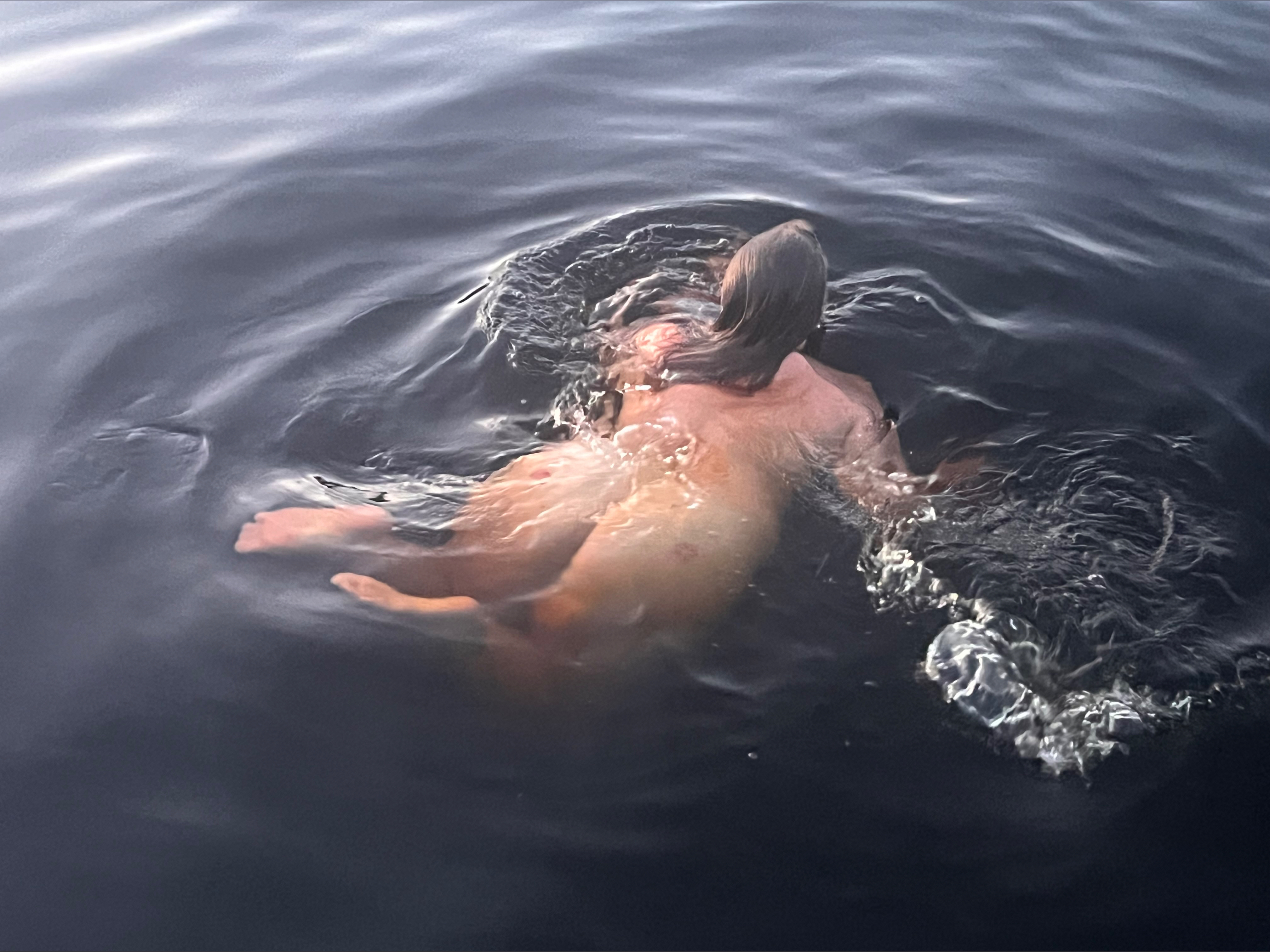 westbay.swinger banner image