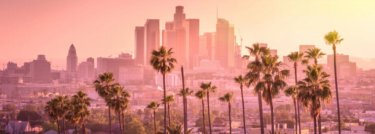 CEO of W$S banner image