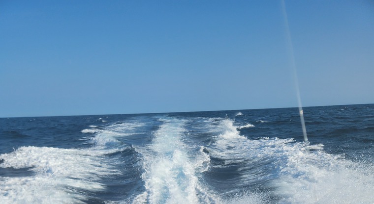 Wetandwild0325 banner image