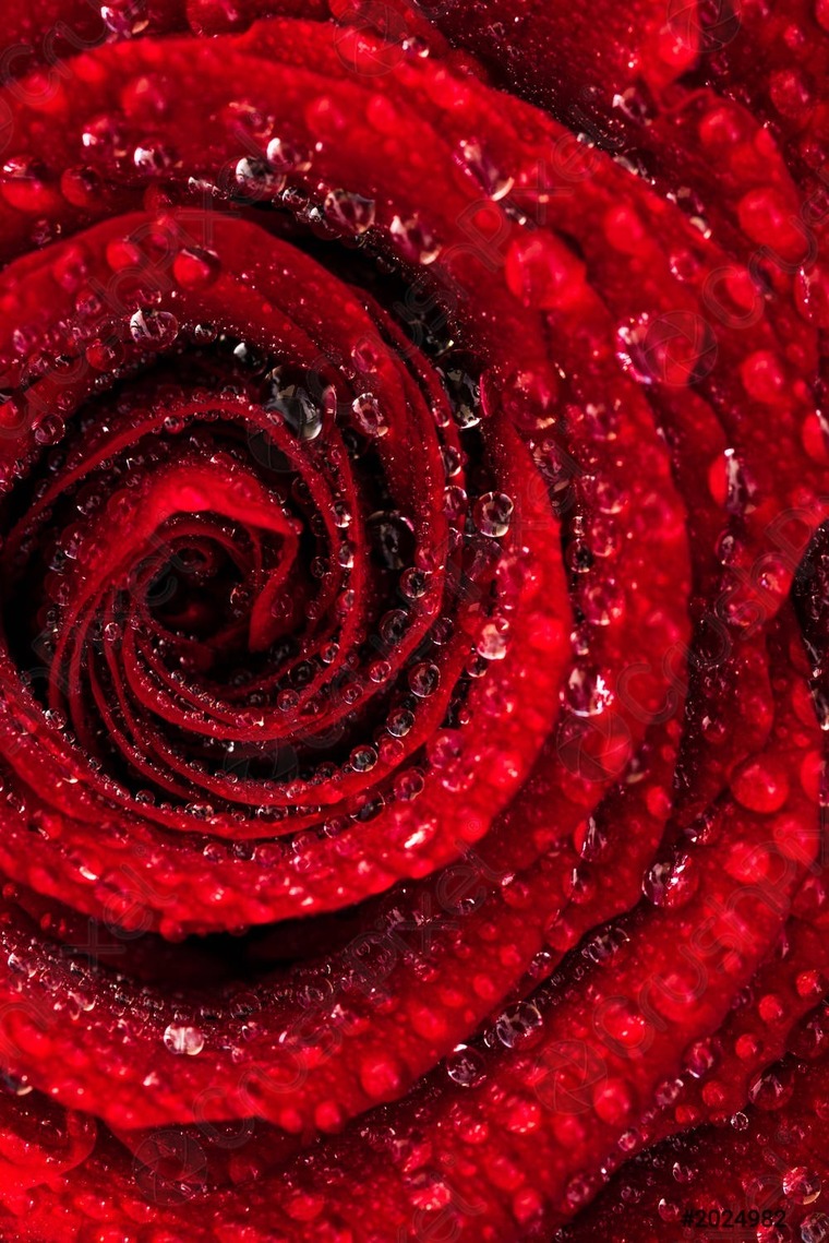 Your Little Secret🤍 banner image