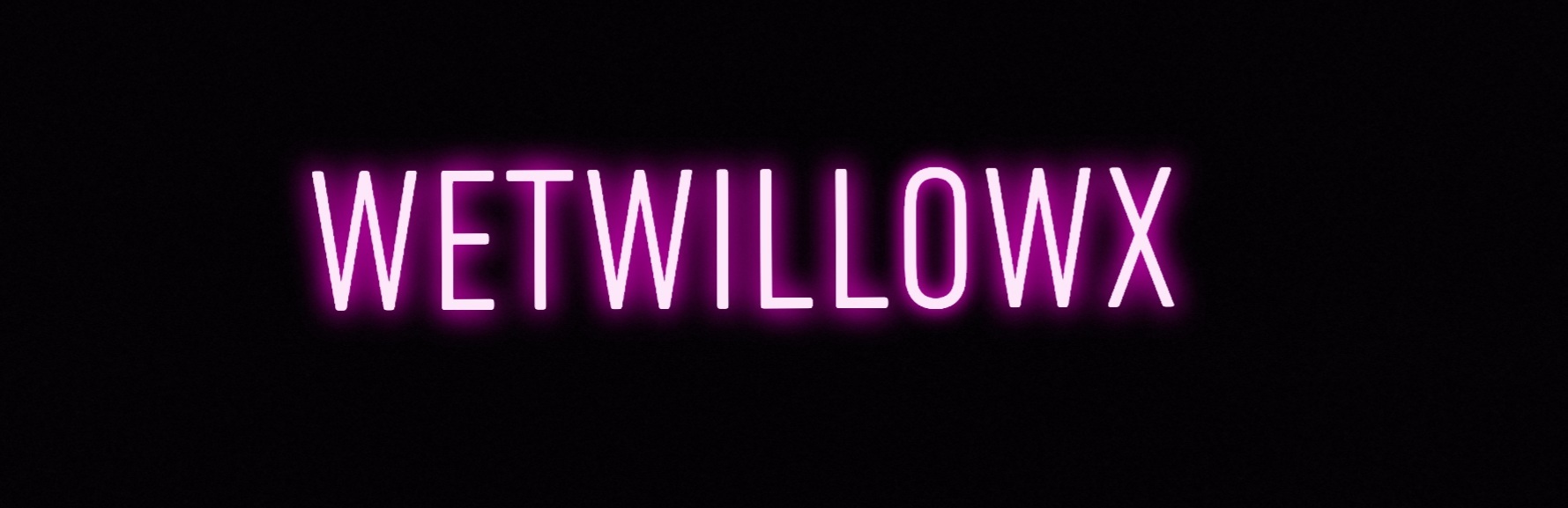 Willow D banner image
