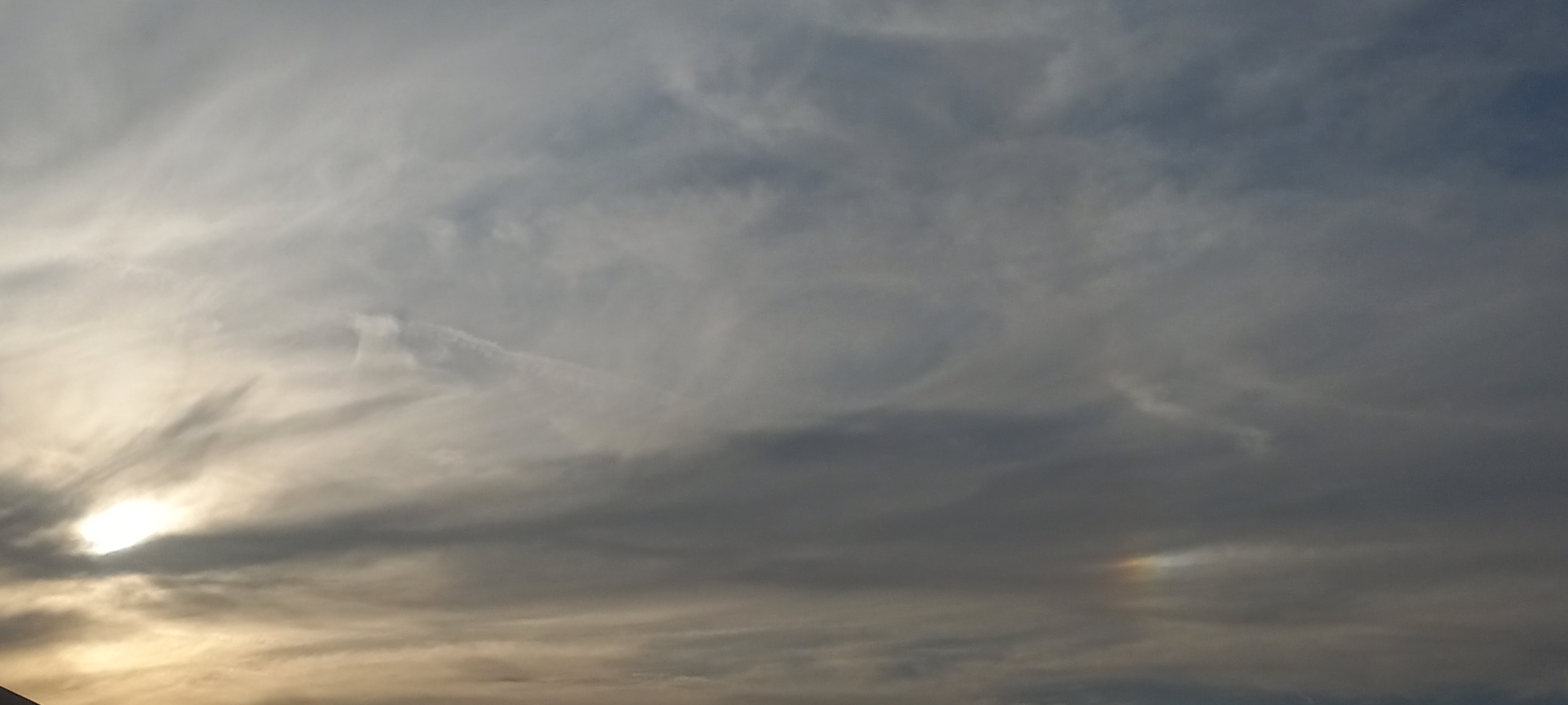 Jesse banner image