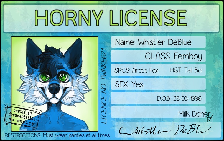 Whistler banner image