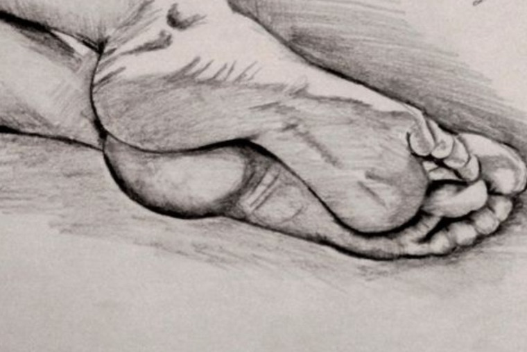 White tip toess cover image