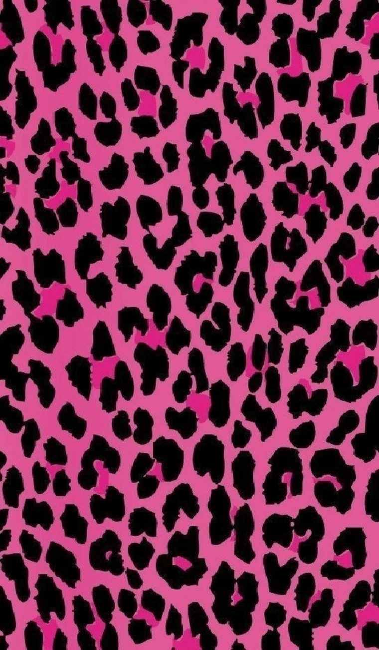 dollie banner image