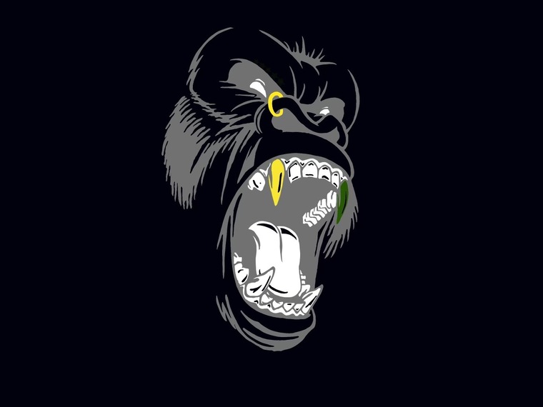Whyylooneyy banner image