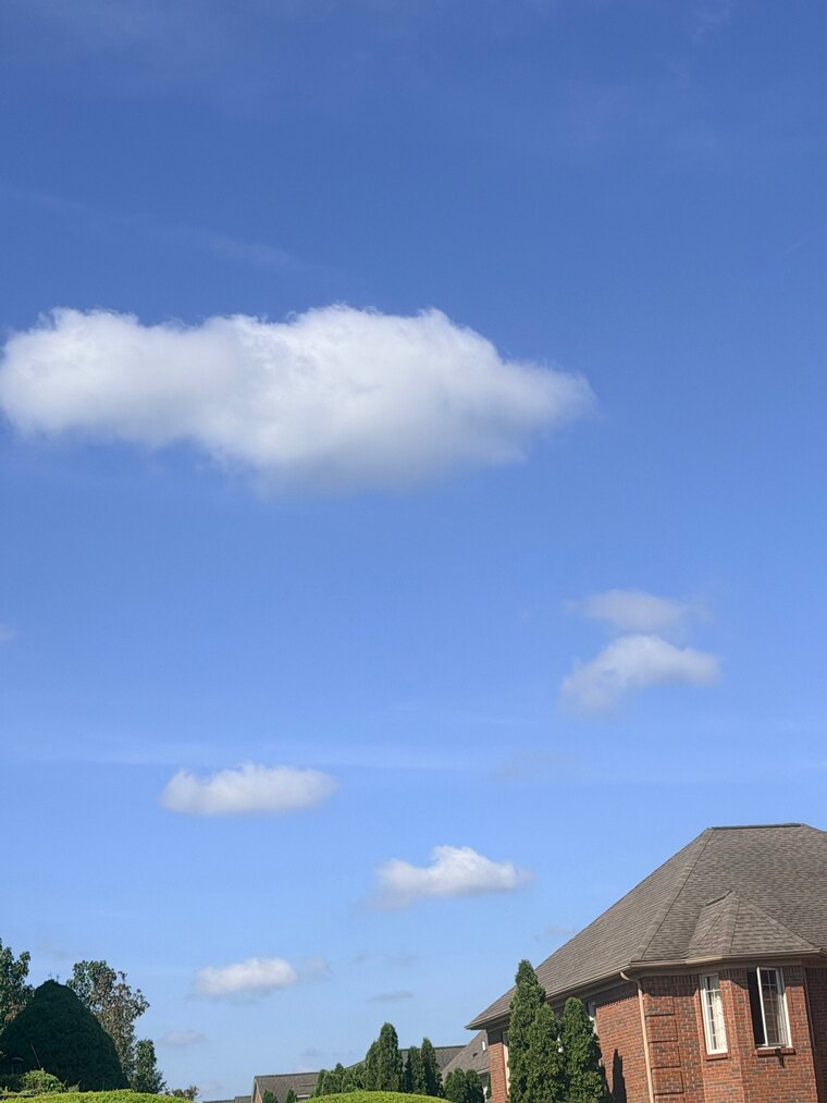 WickedToast banner image