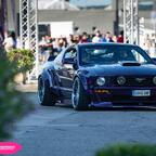 Wide Mustang 🔥 avatar