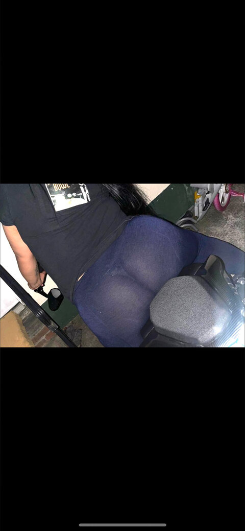 Gatozzz cover image